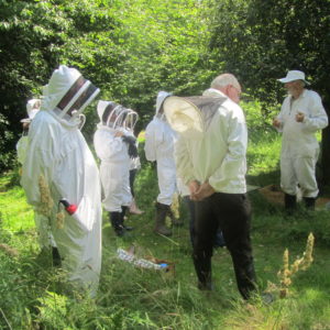 Introduction to Beekeeping 31st July