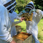 beekeeping class